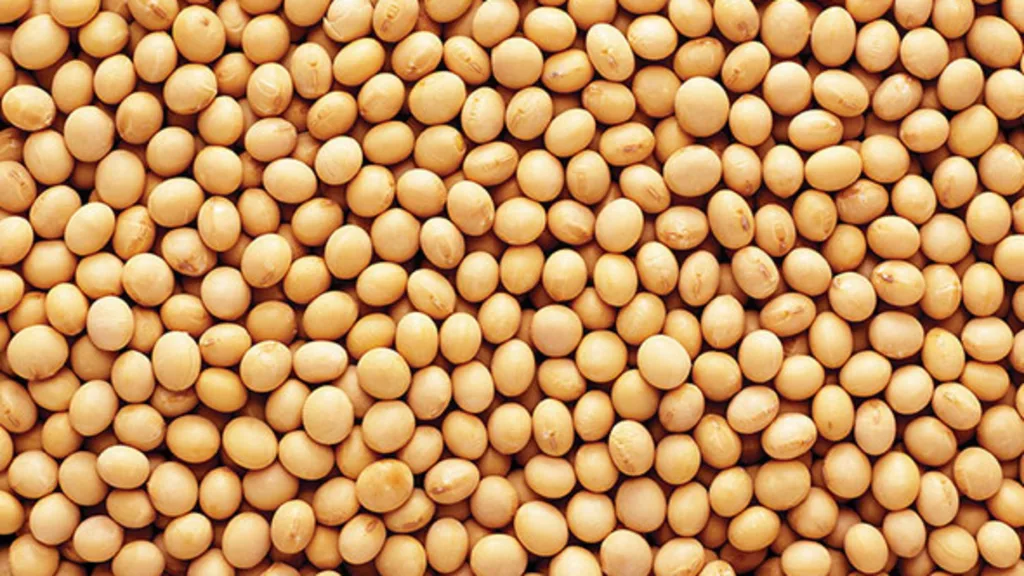 Soybeans