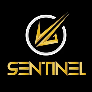 About VLT SENTINEL (Manoj Kasyap):