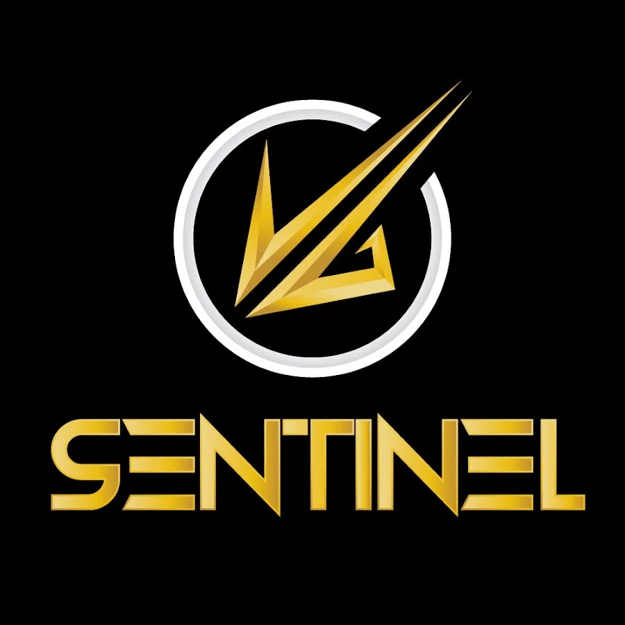 About VLT SENTINEL (Manoj Kasyap):